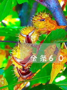 金条6000逾期两个月会怎么样 金条6000逾期两个月会怎么样