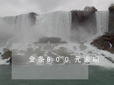 金条600元逾期