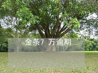 金条7万逾期 金条7万逾期