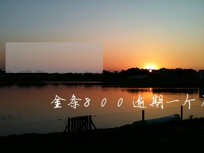 金条800逾期一个月 金条800逾期一个月
