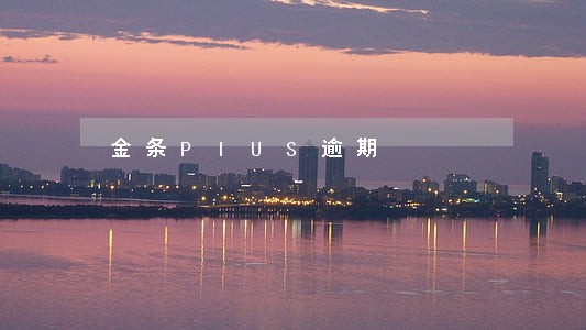 金条PIUS逾期 金条PIUS逾期