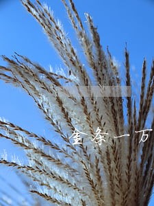金条一万五逾期三个月 金条一万五逾期三个月