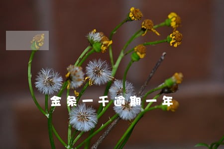 金条一千逾期一年 金条一千逾期一年