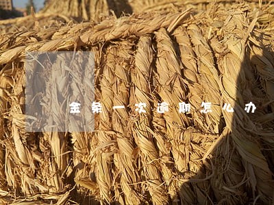 金条一次逾期怎么办 金条一次逾期怎么办