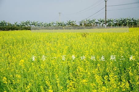 金条一百多块钱逾期二天 金条一百多块钱逾期二天