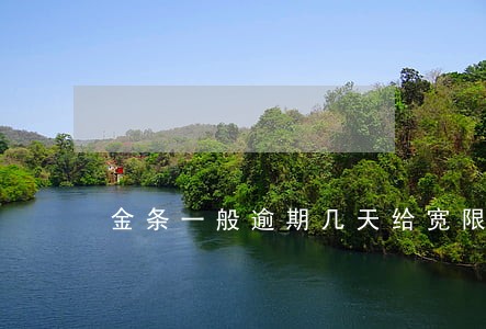 金条一般逾期几天给宽限 金条一般逾期几天给宽限