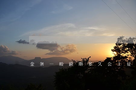 金条一般逾期多久会上征信 金条一般逾期多久会上征信