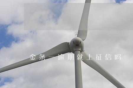 金条一逾期就上征信吗 金条一逾期就上征信吗