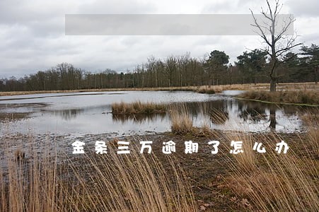 金条三万逾期了怎么办 金条三万逾期了怎么办