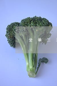 金条三天逾期消除 金条三天逾期消除
