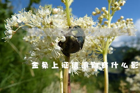 金条上征信逾期有什么影响 金条上征信逾期有什么影响
