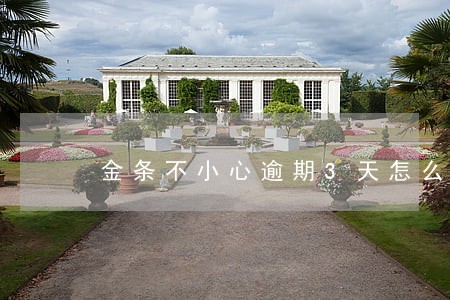 金条不小心逾期3天怎么补救 金条不小心逾期3天怎么补救