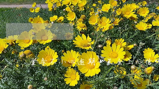 金条不小心逾期一天会上征信吗 金条不小心逾期一天会上征信吗