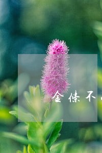 金条不小心逾期两天怎么办 金条不小心逾期两天怎么办