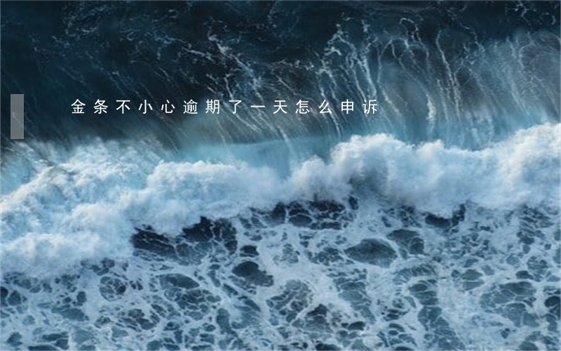 金条不小心逾期了一天怎么申诉 金条不小心逾期了一天怎么申诉