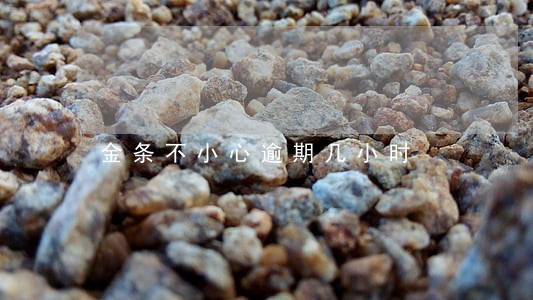 金条不小心逾期几小时 金条不小心逾期几小时