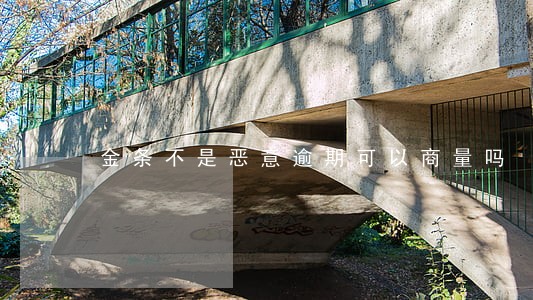 金条不是恶意逾期可以商量吗 金条不是恶意逾期可以商量吗