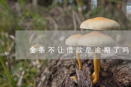 金条不让借款是逾期了吗