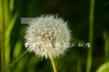 金条不逾期不上征信 金条不逾期不上征信