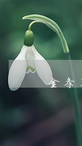金条不逾期征信 金条不逾期征信