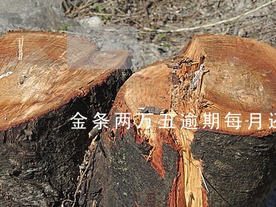 金条两万五逾期每月还两千可以吗 金条两万五逾期每月还两千可以吗