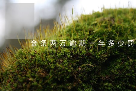 金条两万逾期一年多少罚息 金条两万逾期一年多少罚息