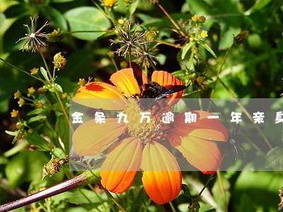 金条九万逾期一年亲身经历 金条九万逾期一年亲身经历