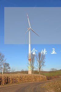 金条五千逾期还了 金条五千逾期还了