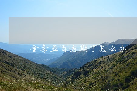 金条五百逾期了怎么办 金条五百逾期了怎么办