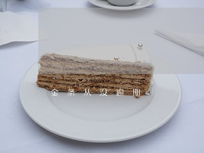金条从没逾期 金条从没逾期