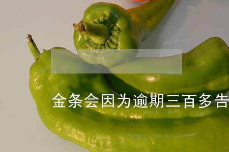 金条会因为逾期三百多告我妈