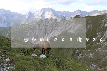 金条借1000逾期20天 金条借1000逾期20天