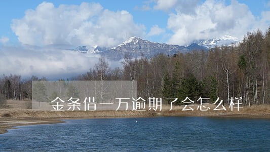 金条借一万逾期了会怎么样 金条借一万逾期了会怎么样
