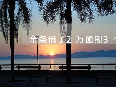 金条借了2万逾期3个月
