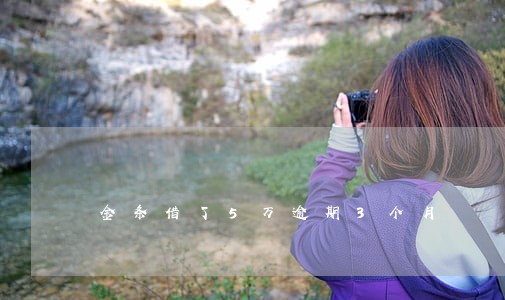 金条借了5万逾期3个月 金条借了5万逾期3个月