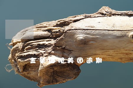 金条借呗美团逾期 金条借呗美团逾期