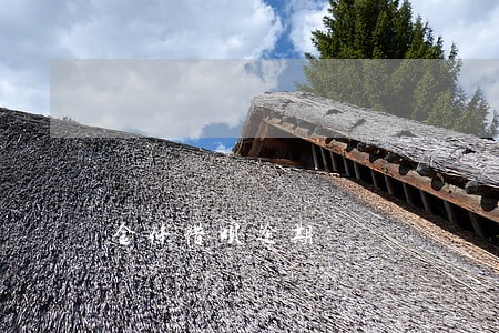 金条借呗逾期 金条借呗逾期
