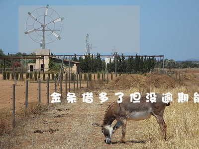 金条借多了但没逾期能买房吗 金条借多了但没逾期能买房吗