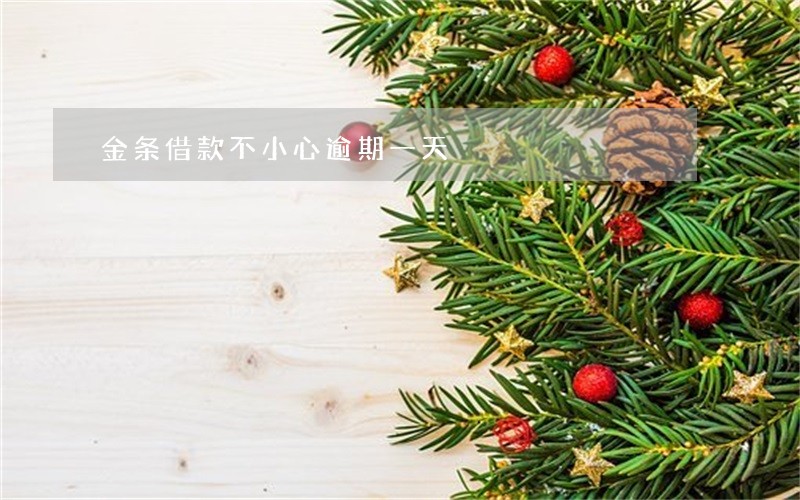 金条借款不小心逾期一天 金条借款不小心逾期一天