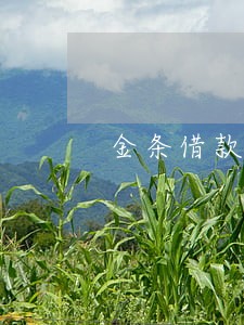金条借款不逾期上征信吗 金条借款不逾期上征信吗