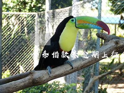 金条借款未逾期上征信么 金条借款未逾期上征信么