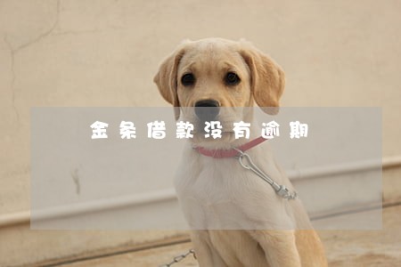 金条借款没有逾期 金条借款没有逾期