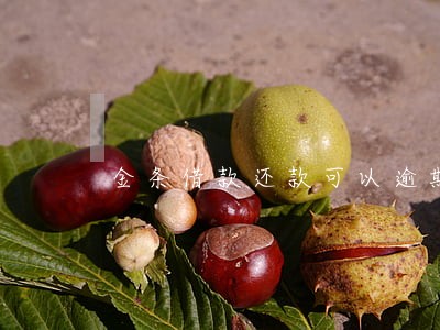 金条借款还款可以逾期吗 金条借款还款可以逾期吗
