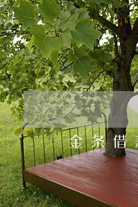 金条借款逾期一个会怎样 金条借款逾期一个会怎样
