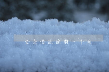 金条借款逾期一个月 金条借款逾期一个月