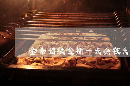 金条借款逾期一天会被关闭吗 金条借款逾期一天会被关闭吗