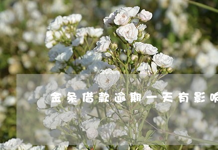 金条借款逾期一天有影响吗 金条借款逾期一天有影响吗