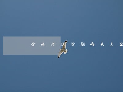 金条借款逾期两天怎么办 金条借款逾期两天怎么办