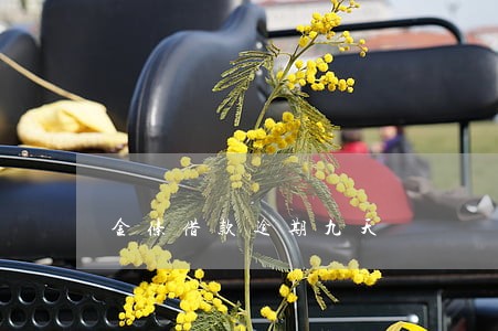 金条借款逾期九天