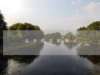 金条借款逾期了 金条借款逾期了
